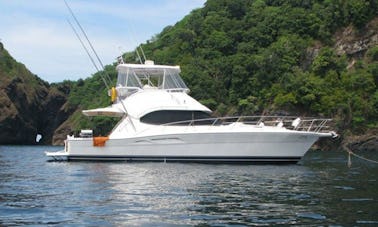 Charter 47' Riviera Flybridge Motor Yacht In Dubai, UAE