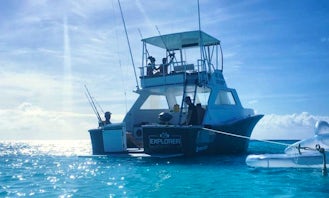 Come for fun fishing adventure in Willemstad, Curacao