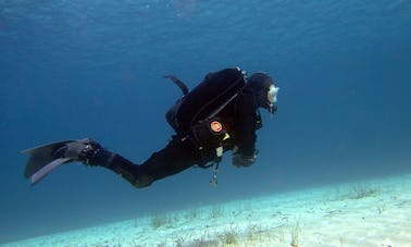 Enjoy Diving Courses in Mellieha, Malta