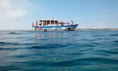 Excursiones y clases de buceo en Biograd na Moru, Croacia