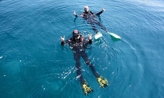 Diving Trips and Lessons in Biograd na Moru, Croatia