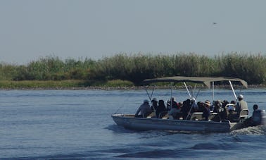 Paseos en barco de pasajeros de 20 plazas en Kasane