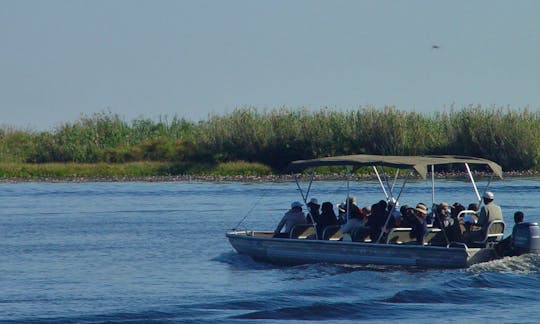 Crusieing towards Chobe national park on a 20 seater boat