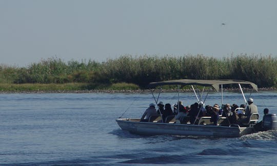 Crusieing towards Chobe national park on a 20 seater boat