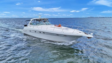 51' Sea Ray Sundancer - O melhor luxo no sul de Tampa