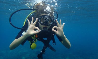 Excursions et leçons de plongée à Abang, Bali