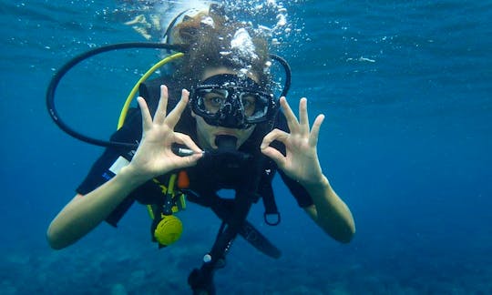 Diving Trips and Lessons in Abang, Bali