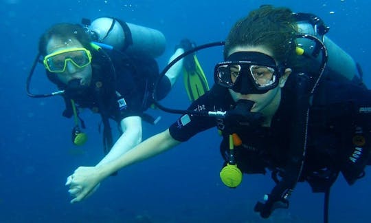 Diving Trips and Lessons in Abang, Bali