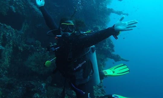 Diving Trips and Lessons in Abang, Bali