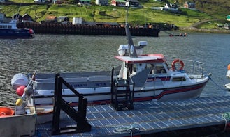 Enjoy Sightseeing in Vestmanna, Streymoy on Barbara Motor Yacht