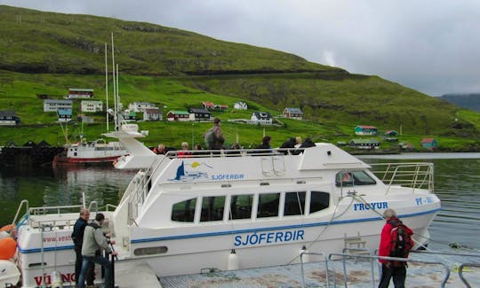 Sightseeing in Vestmanna, Streymoy on Froyur Motor Boat