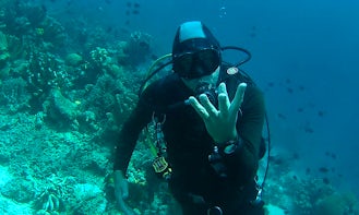 Enjoy Diving in North Sulawesi, Indonesia