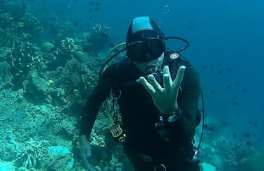 Enjoy Diving in North Sulawesi, Indonesia