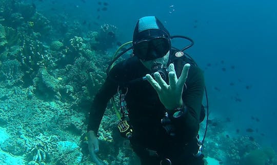 Enjoy Diving in North Sulawesi, Indonesia