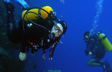 Enjoy Diving Courses in Tombariri, Indonesia