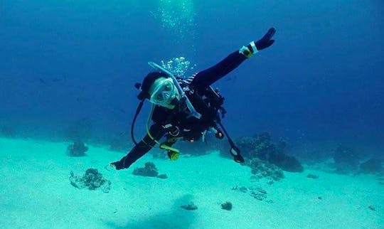 Learn The Basics Of Scuba Diving in Bali, Indonesia