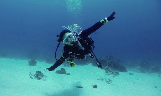 Learn The Basics Of Scuba Diving in Bali, Indonesia