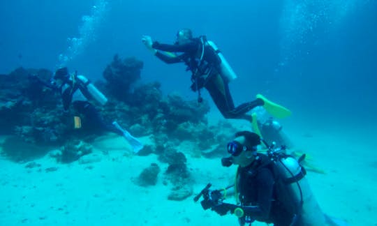 Learn The Basics Of Scuba Diving in Bali, Indonesia