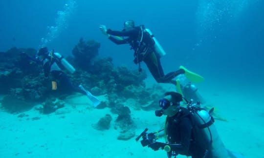 Learn The Basics Of Scuba Diving in Bali, Indonesia