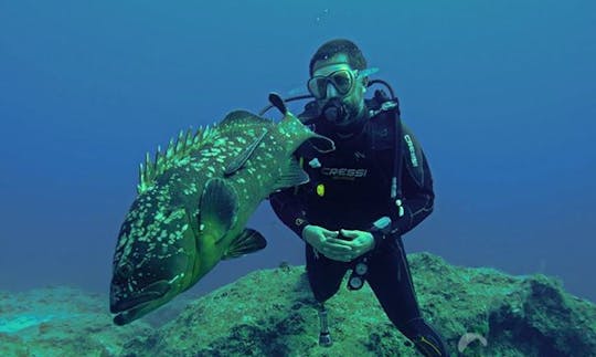 Disfruta del buceo en Muğla, Turquía