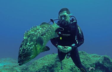 Enjoy Scuba Diving in Muğla, Turkey