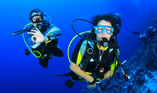 Enjoy Scuba Diving in Muğla, Turkey