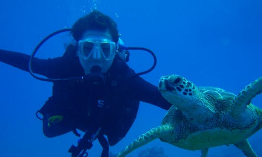 Disfruta del buceo en Muğla, Turquía