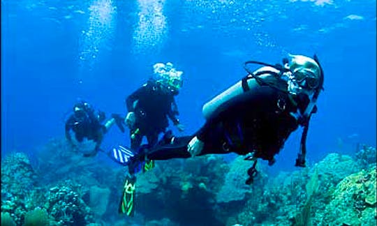 Enjoy Diving in Nusapenida, Nusa Lembongan
