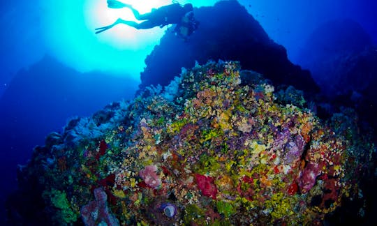 Enjoy Diving Trips in Tahuna, Sulawesi Utara