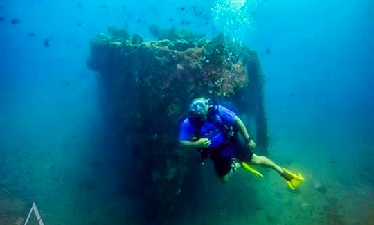 Enjoy Diving Trips in Tahuna, Sulawesi Utara