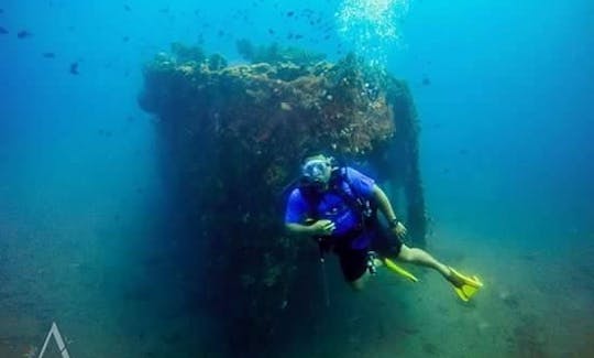 Enjoy Diving Trips in Tahuna, North Sulawesi