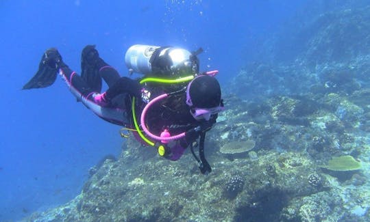 Disfruta de viajes de buceo en Komodo, Nusa Tenggara Timur