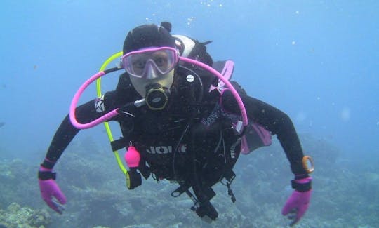 Disfruta de viajes de buceo en Komodo, Nusa Tenggara Timur