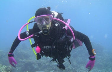 Enjoy Diving Trips in Komodo, Nusa Tenggara Timur