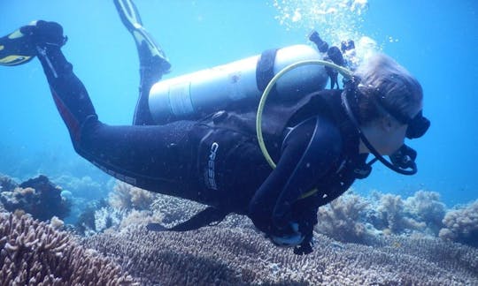 Disfruta de viajes de buceo en Komodo, Nusa Tenggara Timur