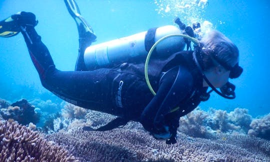 Enjoy Diving Trips in Komodo, Nusa Tenggara Timur