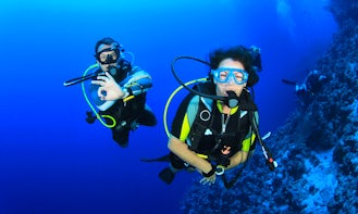 Enjoy Diving in Wanea, Indonesia
