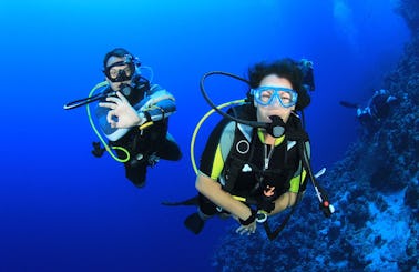 Enjoy Diving in Wanea, Indonesia
