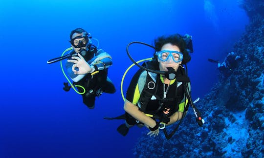 Enjoy Diving in Wanea, Indonesia