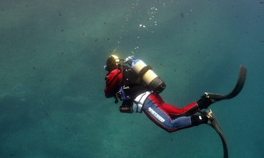 Enjoy Diving Trips & Courses in Alghero, Sardegna