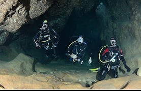 Enjoy Diving Trips & Courses in Alghero, Sardegna