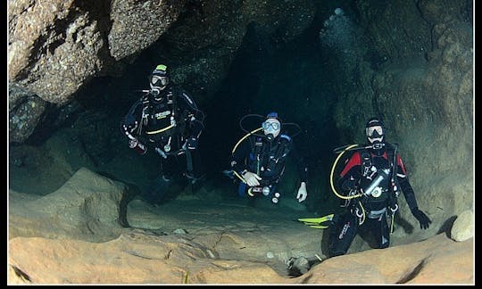 Enjoy Diving Trips & Courses in Alghero, Sardegna