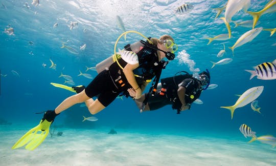 Disfruta de viajes y cursos de buceo en Abang, Bali