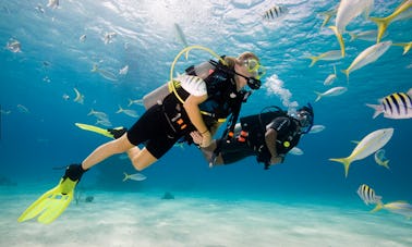 Enjoy Diving Trips and Courses in Abang, Bali