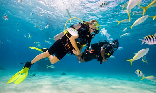 Enjoy Diving Trips and Courses in Abang, Bali