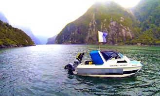 The 6 Hour Milford Sound Dive Tour for Qualified Divers
