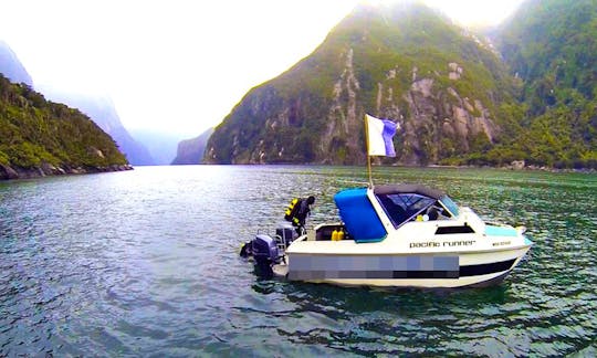 The 6 Hour Milford Sound Dive Tour for Qualified Divers