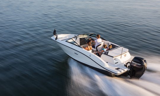 Bateau de sport Searay 2017 à Miami Beach avec capitaine