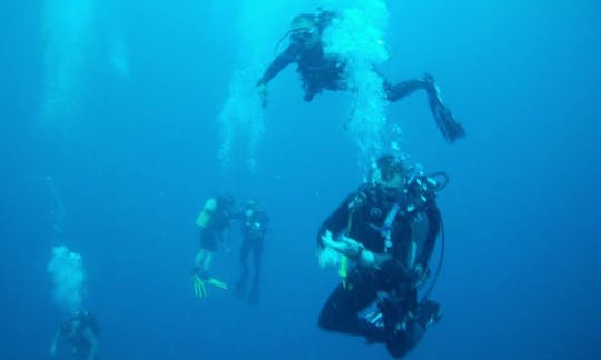 Enjoy Diving Trips in Randburg, Gauteng