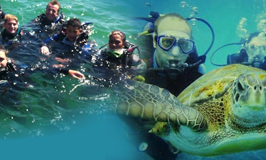 Enjoy Diving Trips in Randburg, Gauteng